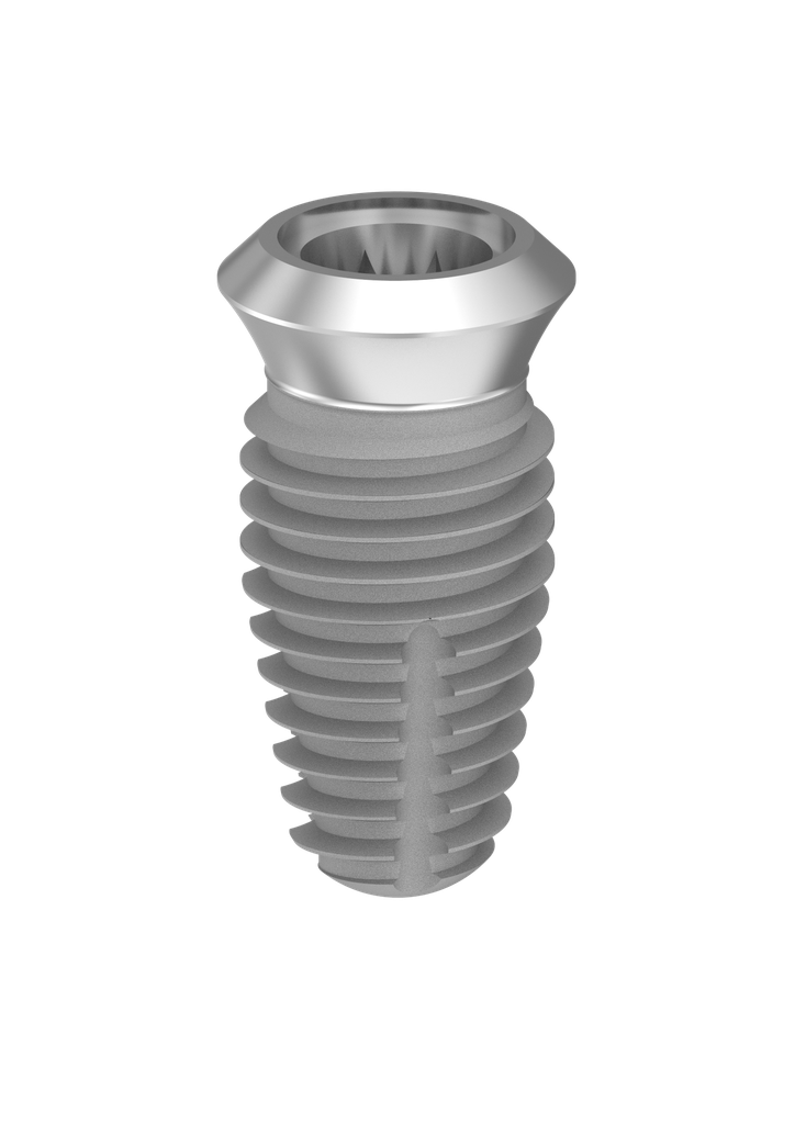 ⌀6 x 10mm IT Implant