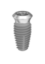 ⌀6 x 10mm IT Implant