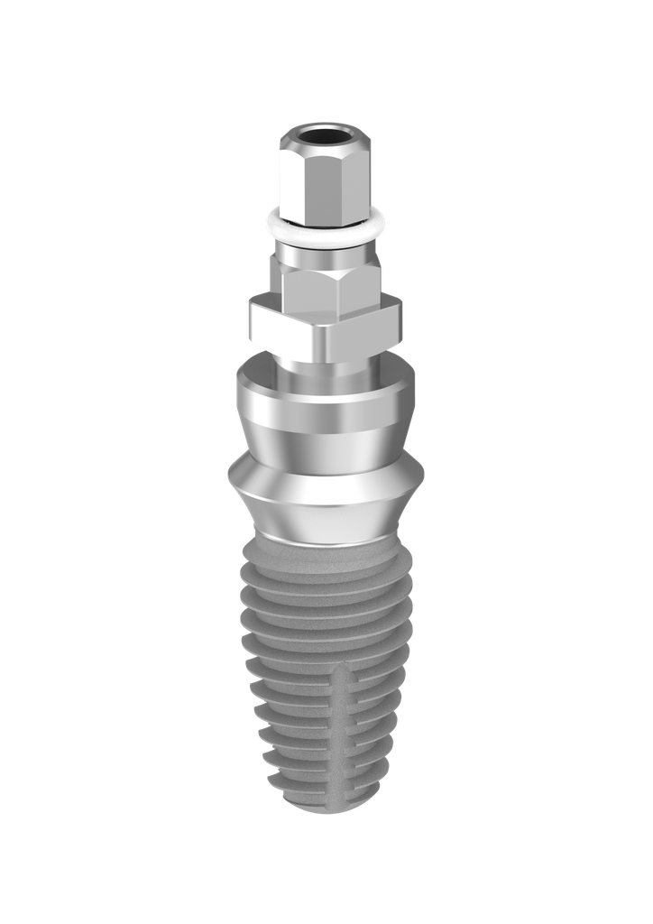⌀6 x 10mm IT Implant