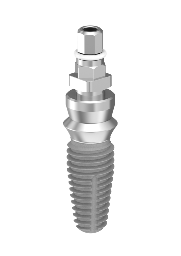 ⌀6 x 12mm IT Implant