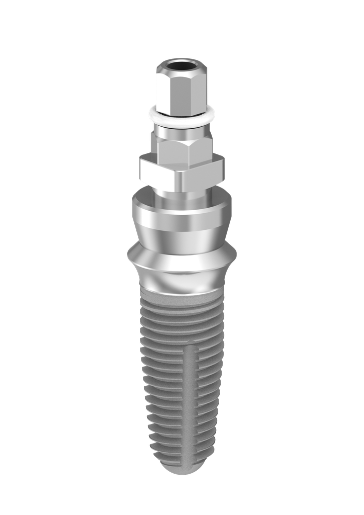 ⌀5 x 12mm IT Implant