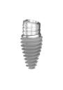 ⌀4/5 x 11mm 12° MSC Deep Conical INVERTA Implant