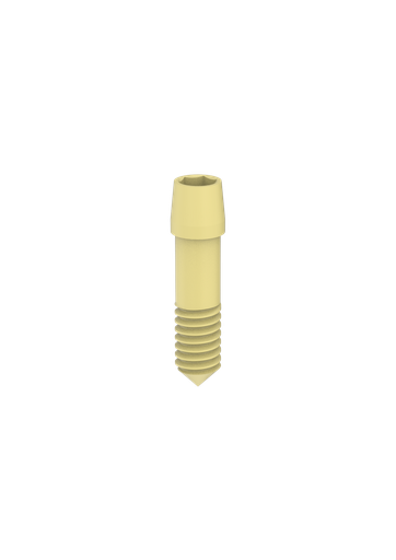 [PA-M18-LS] Internal Hex / PROVATA (M, M-P45) (Luting screw) Retaining Screw