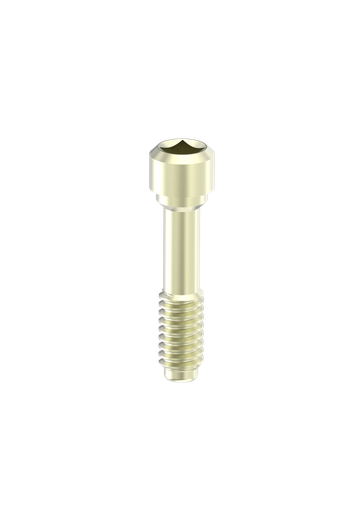 [PA-Q-18G] Internal Hex / PROVATA (M, M-P45) Retaining Screw