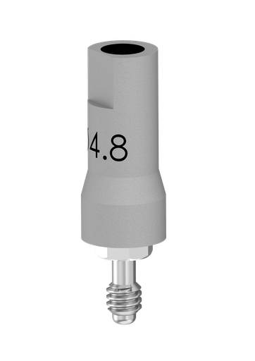 [SFT-IT] IT (Internal Octagon) (IT) Scan Flag