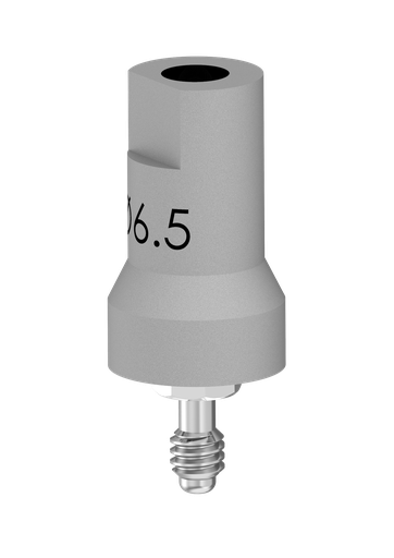 [SFT-IT6] IT (Internal Octagon) (IT6) Scan Flag