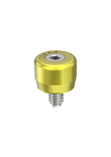 [T5BA4] External Hex (EX-50) 4mm Healing Abutment 2 Part