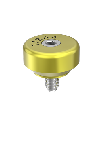 [T7BA4] External Hex (EX-50) 4mm Healing Abutment 2 Part