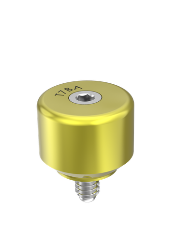 [T7BA6] External Hex (EX-50) 6mm Healing Abutment 2 Part