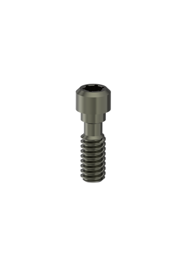 [BSIT2] IT (Internal Octagon) (IT, IT6) (Lab Screw) Retaining Screw