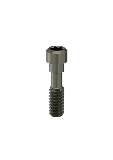 [BS-IT-PA] IT (Internal Octagon) (IT, IT6) (Lab Screw) Retaining Screw
