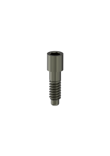 [BS-P-16] External Hex (EX-30) (Lab Screw) Retaining Screw