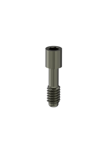 [BS-Z-18] Internal Hex / PROVATA (M) (Lab Screw) Retaining Screw