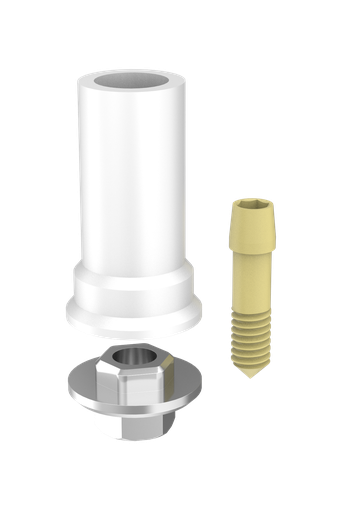 [PA-EZ] Abutment Passive Int Hex Eng