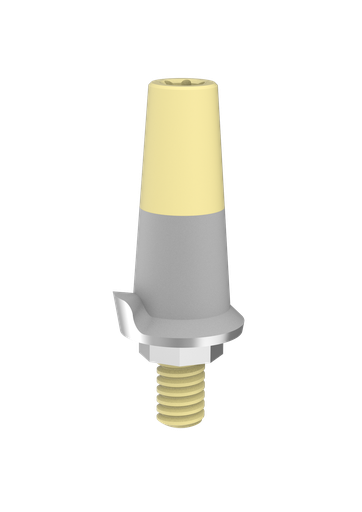 [CIA-ITS] Abutment scanning IT
