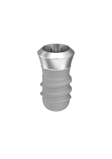[ITC406] ⌀4 x 6mm IT Implant
