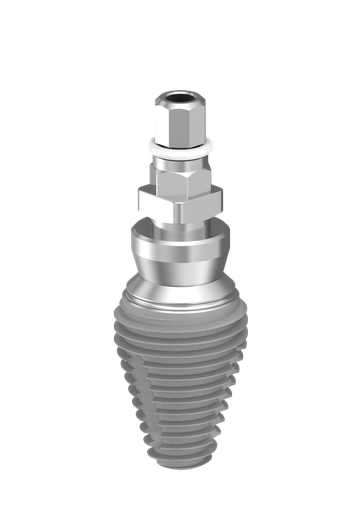 [MAXIT8-11F] ⌀8 x 11mm IT MAX Implant