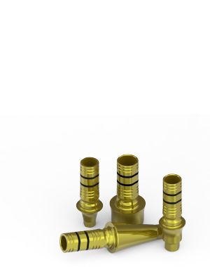 Final Abutments L